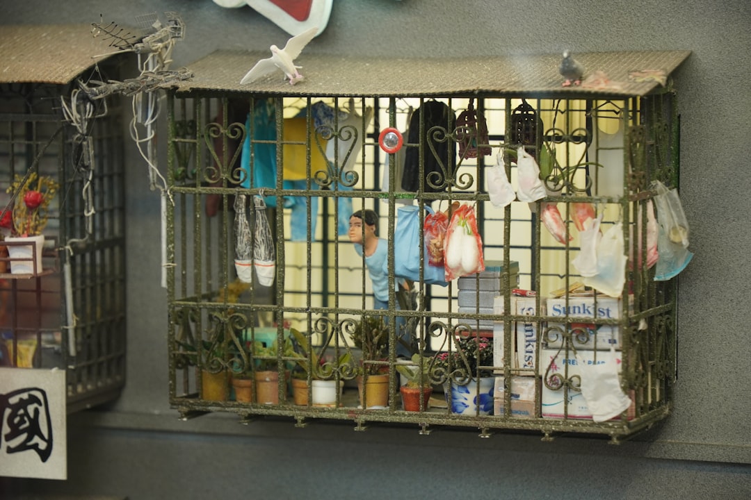 A person behind bars with plants and belongings