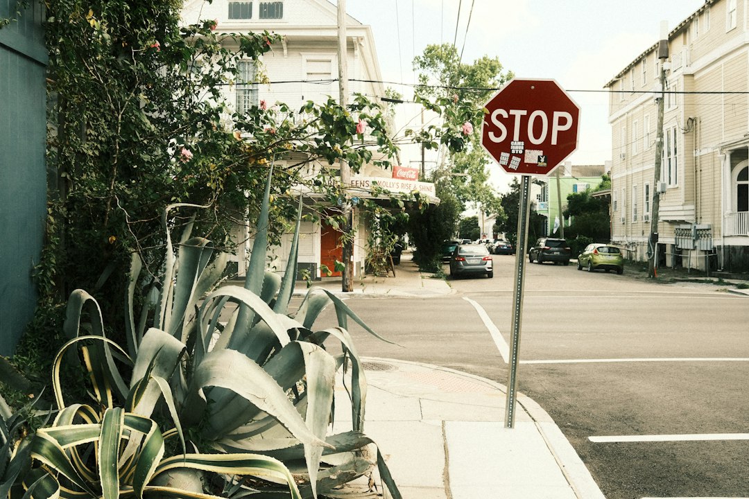 Stop sign on a street corner with plants